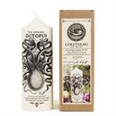 CORETERNO The Eternal Octopus Candle